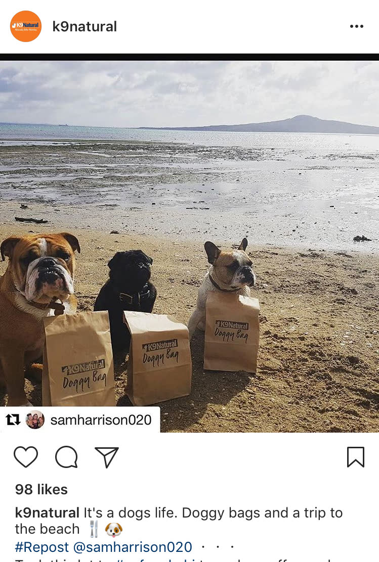 K9 Natural — Bone Appétit Dog-Friendly Activation Series